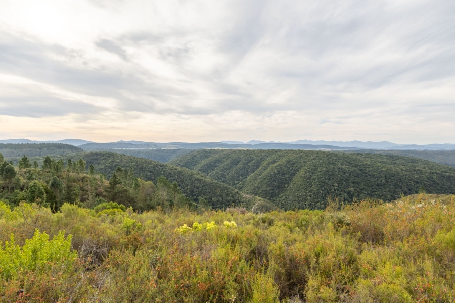 6 Bedroom Property for Sale in Plettenberg Bay Rural Western Cape